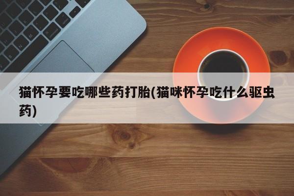 堕胎药怎么买猫怀孕要吃哪些药打胎(猫咪怀孕吃什么驱虫药)