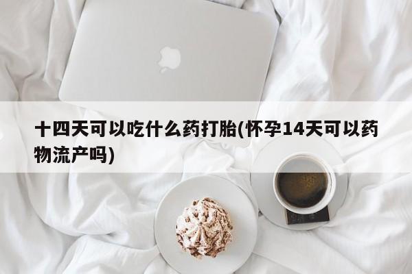 堕胎药怎么买十四天可以吃什么药打胎(怀孕14天可以药物流产吗)