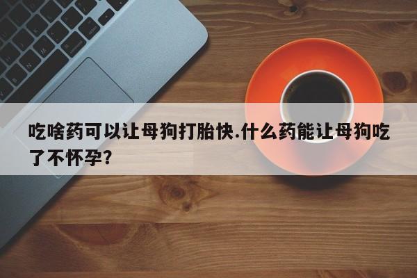 堕胎药怎么买吃啥药可以让母狗打胎快.什么药能让母狗吃了不怀孕？